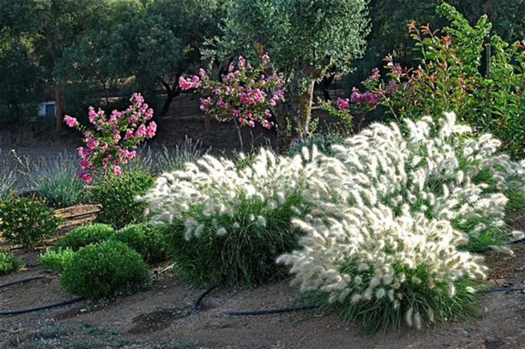 Quinta Da Espada Evora Ngoại thất bức ảnh